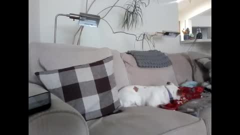 Rusty online show from 6, 3, 2025