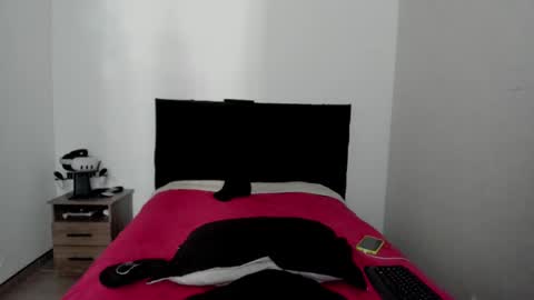 Snapshot of ryan15_ chatting on 1, 3, 2026 Ryan 15 online show from 1, 3, 2026