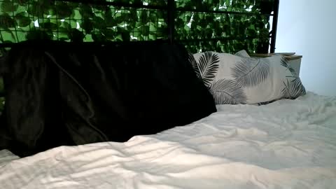 Snapshot of ryanstorm1 chatting on 31, 1, 2026 ryanstorm1 online show from 31, 1, 2026