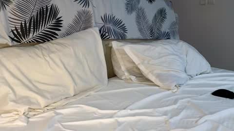 Snapshot of ryanstorm1 chatting on 7, 2, 2026 ryanstorm1 online show from 7, 2, 2026