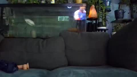 ryantate_88 online show from 14, 5, 2026