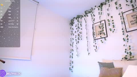 Snapshot of s0phie_26 chatting on 20, 12, 2024 Sofia  Independent Model online show from 20, 12, 2024