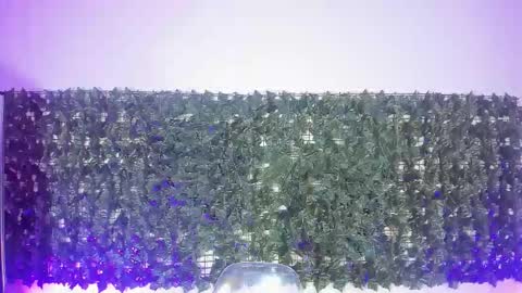 Sabina Merchetti online show from 17, 3, 2026