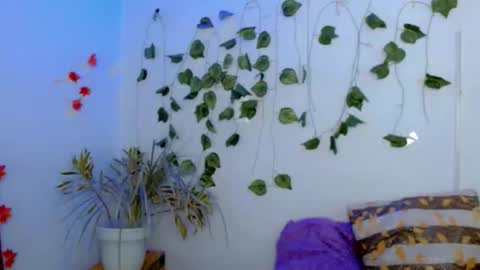 Snapshot of sabrinaexpositoxx chatting on 22, 2, 2026 SABRI online show from 22, 2, 2026