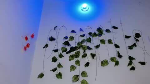 SABRI online show from 17, 4, 2026