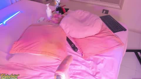 Mara online show from 15, 11, 2025