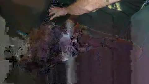 Snapshot of saige5558 chatting on 22, 12, 2025 saige5558 online show from 22, 12, 2025