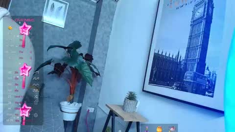 Snapshot of sakuramoss chatting on 14, 11, 2025 Sakura Moss online show from 14, 11, 2025