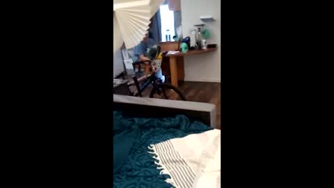 salis1981 online show from 2, 4, 2026