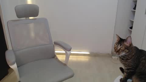 Snapshot of salome_010 chatting on 19, 10, 2025 Salome online show from 19, 10, 2025
