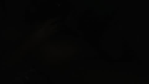 maria online show from 9, 3, 2026