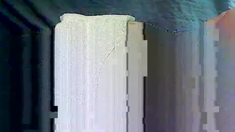 sam5554401727 online show from 17, 4, 2026