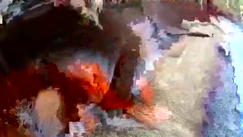 sam681820 online show from 24, 11, 2025