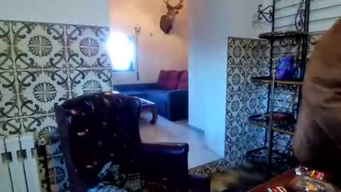 sam_papithebarber online show from 20, 12, 2025