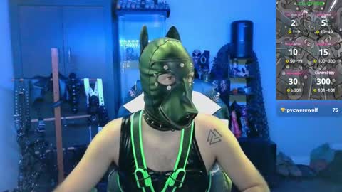Snapshot of samael069 chatting on 11, 12, 2024 samael069 online show from 11, 12, 2024
