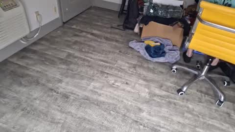 samboiamtho online show from 3, 1, 2025