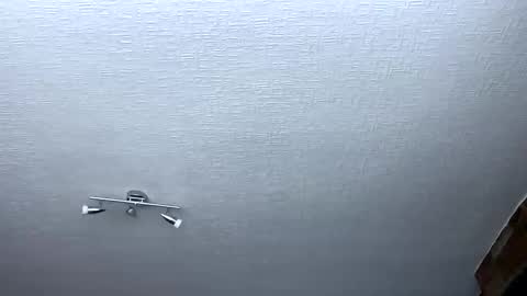 samegee online show from 6, 10, 2025