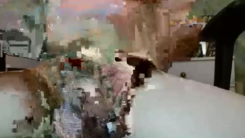 Snapshot of sammalamadingdong chatting on 2, 6, 2026 sammalamadingdong online show from 2, 6, 2026