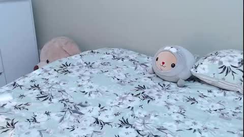  Sammyboom  online show from 2, 11, 2025