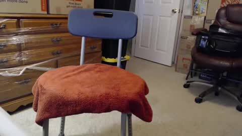 Snapshot of sammyduz2 chatting on 3, 11, 2025 Sammy online show from 3, 11, 2025