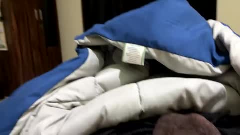 samnivin online show from 1, 12, 2025