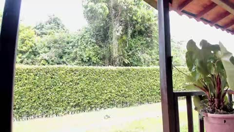 Snapshot of samuel_obrian chatting on 12, 12, 2024 Samuel online show from 12, 12, 2024