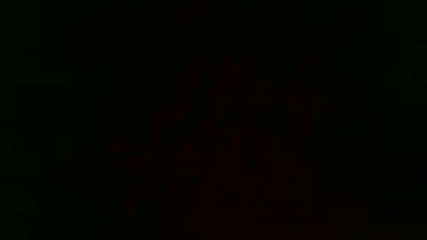 samueltal online show from 5, 1, 2026