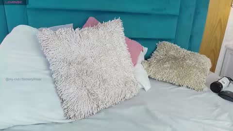 Snapshot of samy_ross_ chatting on 11, 3, 2026 Find me at when im offline here. online show from 11, 3, 2026