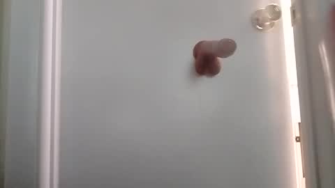 Snapshot of sanchezabsurdo chatting on 6, 10, 2025 sanchezabsurdo online show from 6, 10, 2025