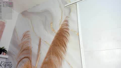 SAM  online show from 2, 2, 2026