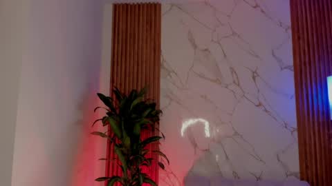 S A R A online show from 5, 6, 2026