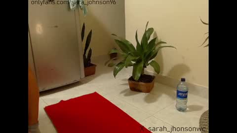 Snapshot of sara_johnson__ chatting on 27, 12, 2024 sara_johnson__ online show from 27, 12, 2024