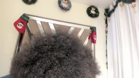 SARA 730 A 200 PM  online show from 20, 12, 2025