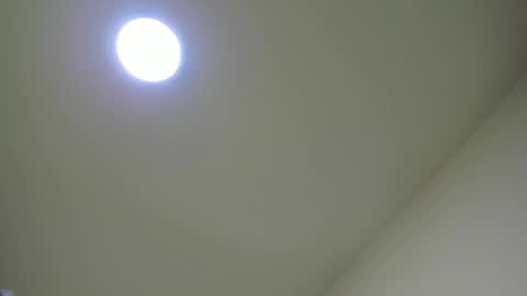   online show from 24, 2, 2025