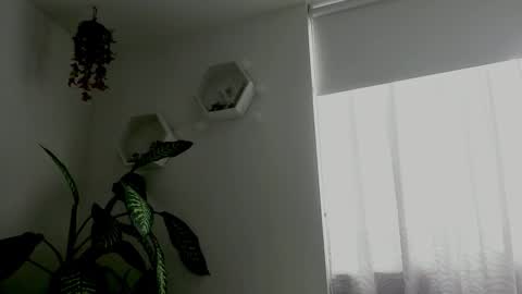 Saray  online show from 9, 2, 2026