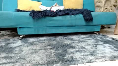 Snapshot of sarita_klein chatting on 2, 3, 2026 sarita_klein online show from 2, 3, 2026