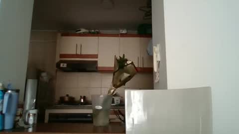 sarita_start online show from 11, 5, 2026