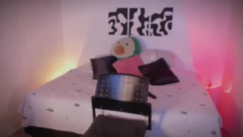 Sara online show from 25, 11, 2025