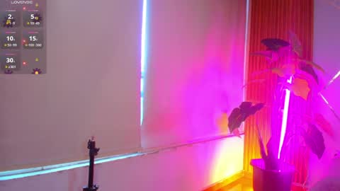 sasha_gracee_ online show from 8, 4, 2026