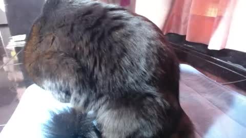 Snapshot of sasha_start chatting on 1, 3, 2026 sasha start online show from 1, 3, 2026