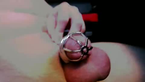 Snapshot of sashaandkonrad chatting on 10, 2, 2026 Sasha and Konrad online show from 10, 2, 2026