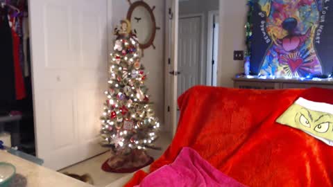 Trish online show from 1, 1, 2025