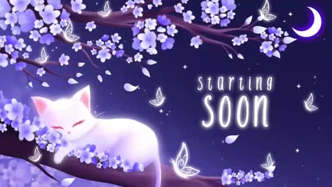 Snapshot of sassykittyn chatting on 22, 9, 2025 Sassy Sami Kittyn online show from 22, 9, 2025