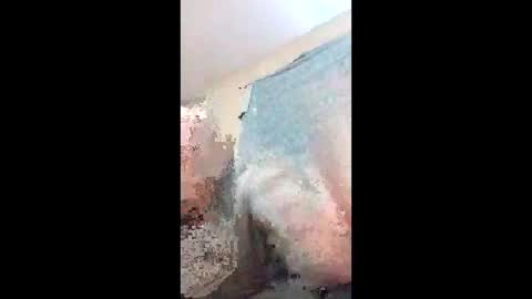 sassysocialite online show from 12, 2, 2026