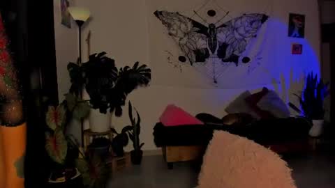 im Jessi  Independet Model  online show from 5, 7, 2026