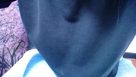 Savana online show from 2, 2, 2026