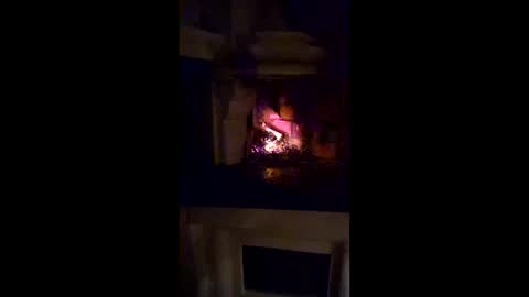 savlan online show from 28, 3, 2026