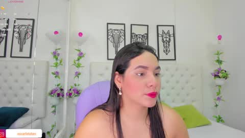 Isa online show from 14, 12, 2024