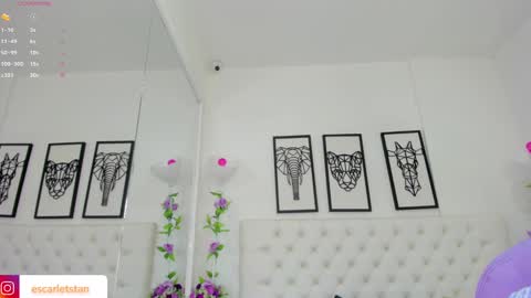 Isa online show from 16, 12, 2024