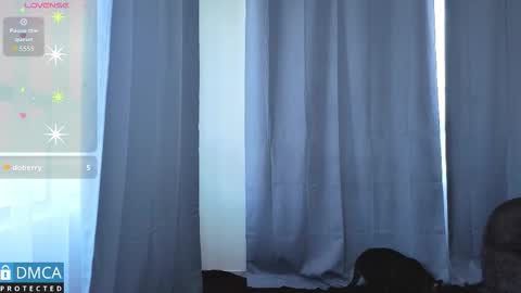 scarlett_fire5 online show from 13, 3, 2026